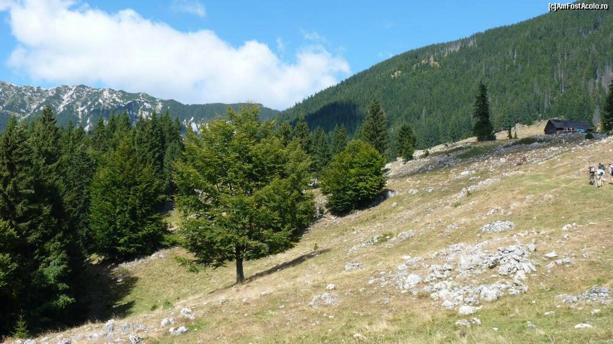 Pensiunea Irina 3 Zărneşti Eksteriør billede